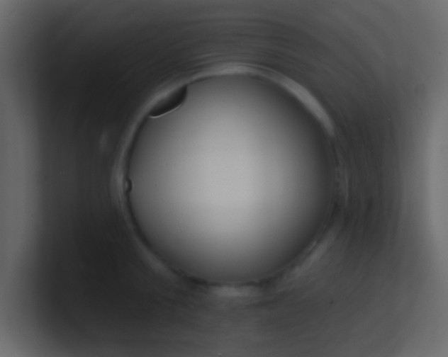 X0000100840805200807070932