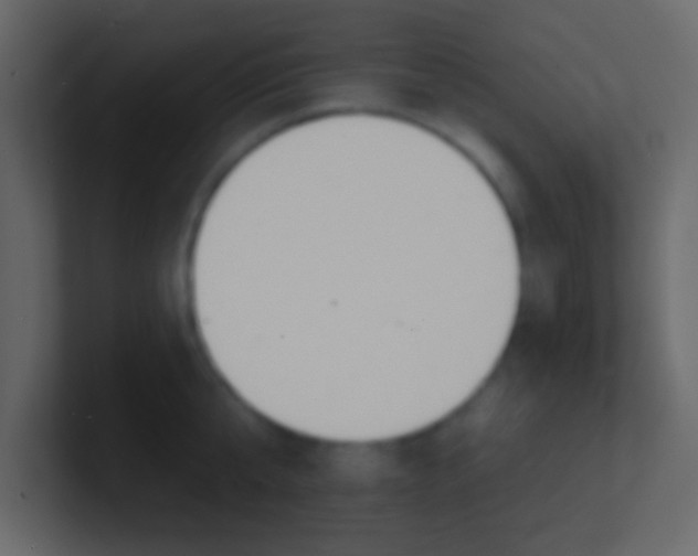 X0000100840807200807070932