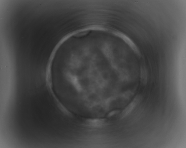 X0000100840808200807070932