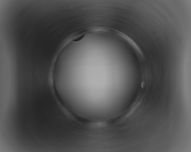 X0000100840810200807070932