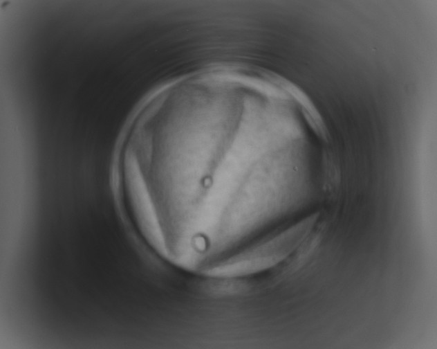 X0000100840811200807070932