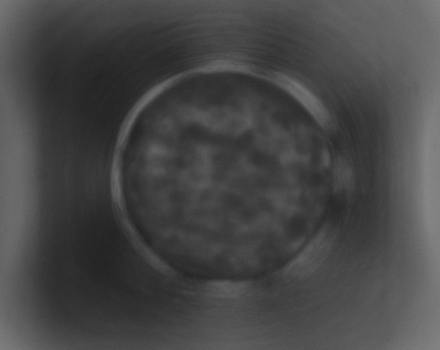 X0000100840812200807070932