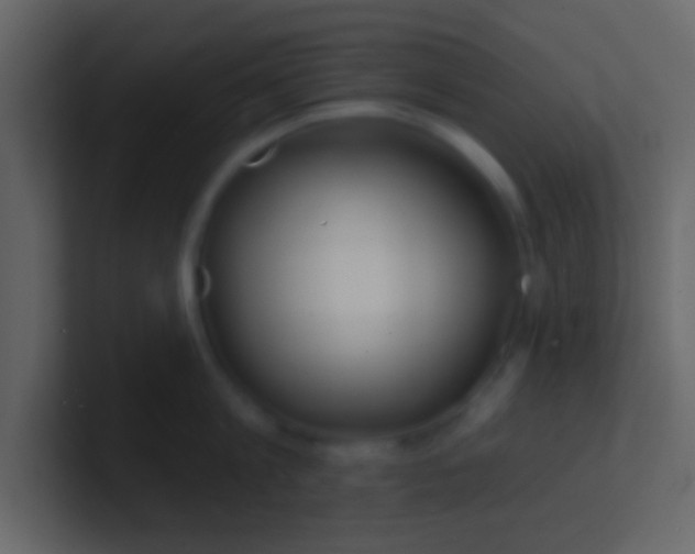 X0000100840813200807070932