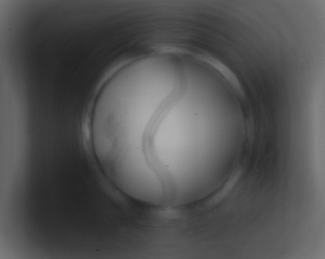 X0000100840814200807070932