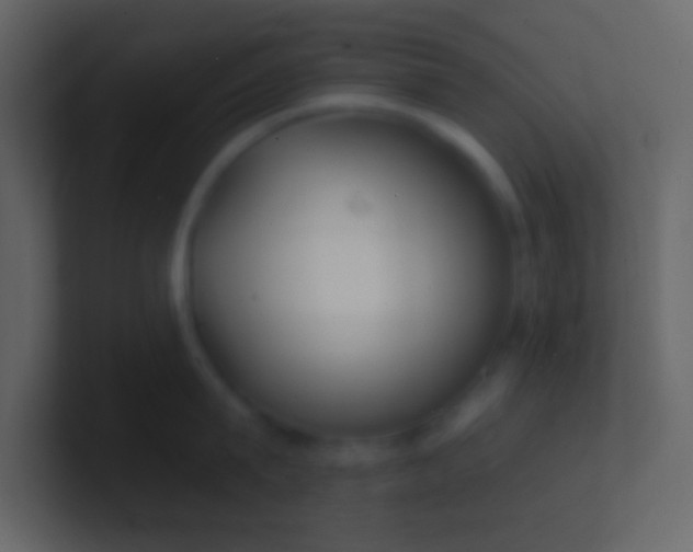 X0000100840815200807070932