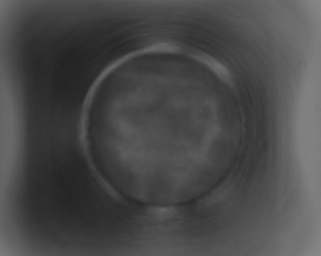 X0000100840816200807070932