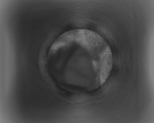 X0000100840817200807070931