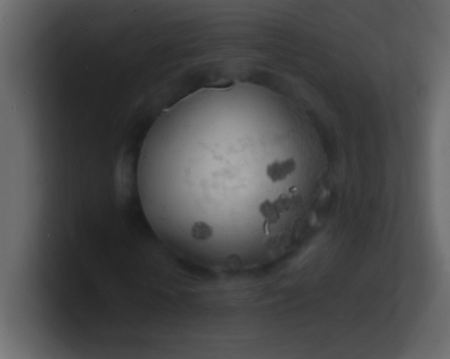 X0000100840818200807070931