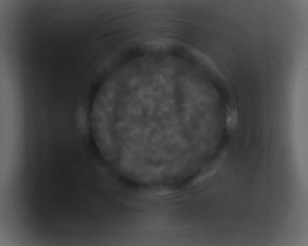 X0000100840819200807070931