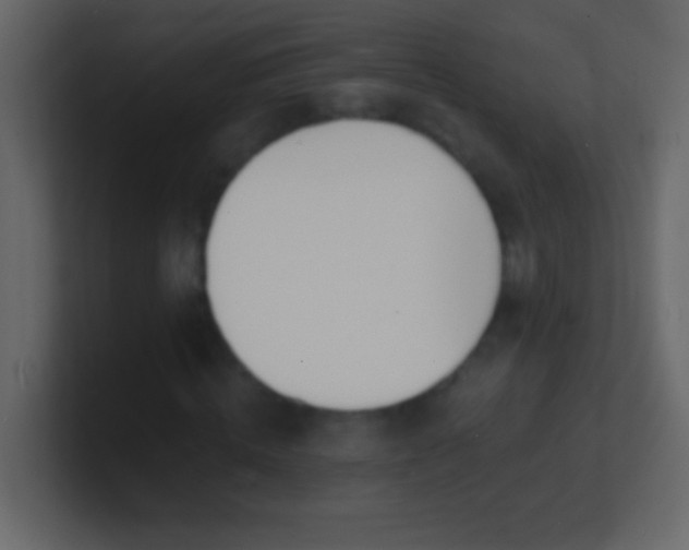 X0000100840820200807070931