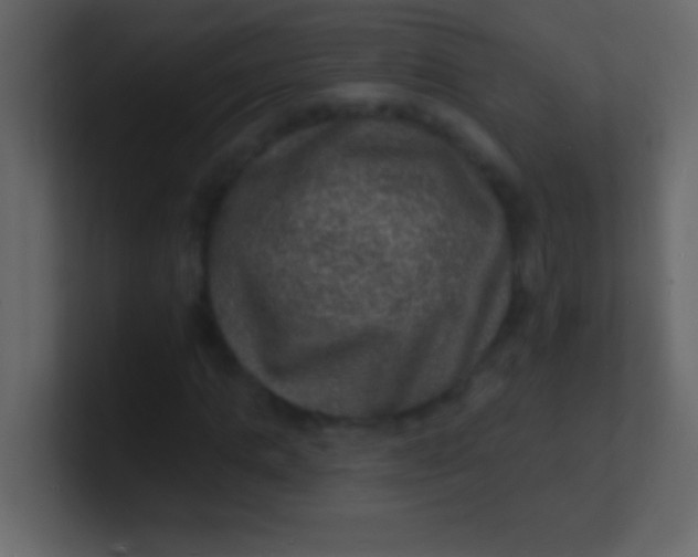 X0000100840821200807070931