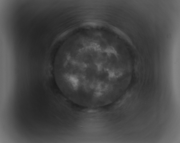 X0000100840822200807070931