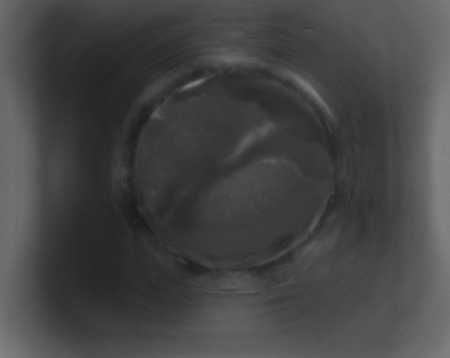 X0000100840823200807070931