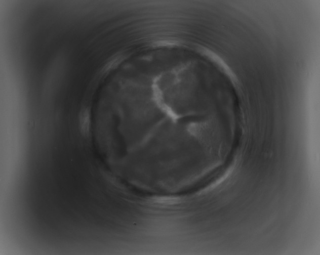 X0000100840825200807070931