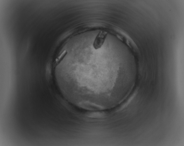 X0000100840826200807070931