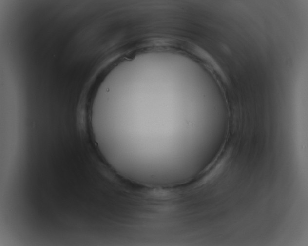 X0000100840827200807070931