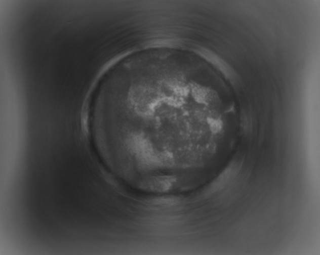 X0000100840830200807070931