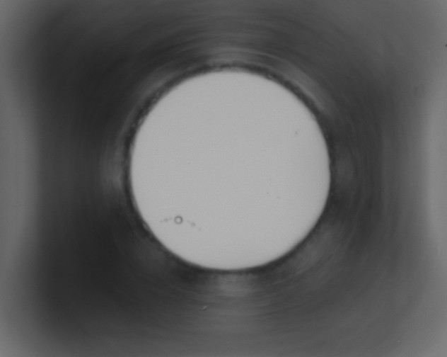 X0000100840832200807070931