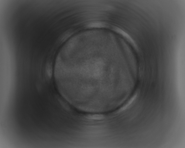 X0000100840833200807070931