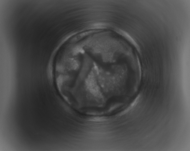 X0000100840835200807070931