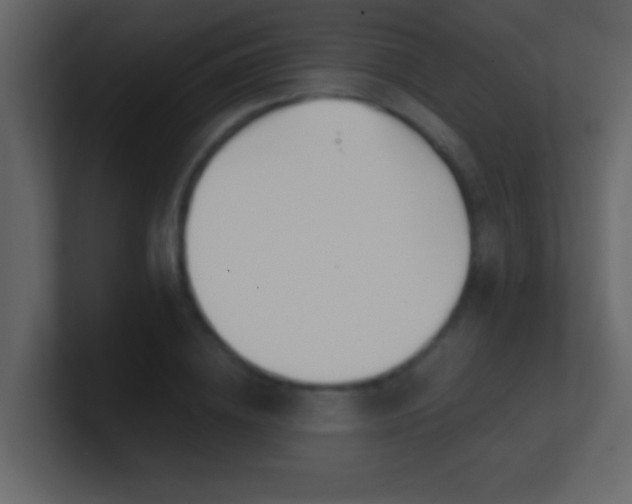 X0000100840836200807070931