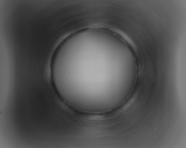 X0000100840837200807070931