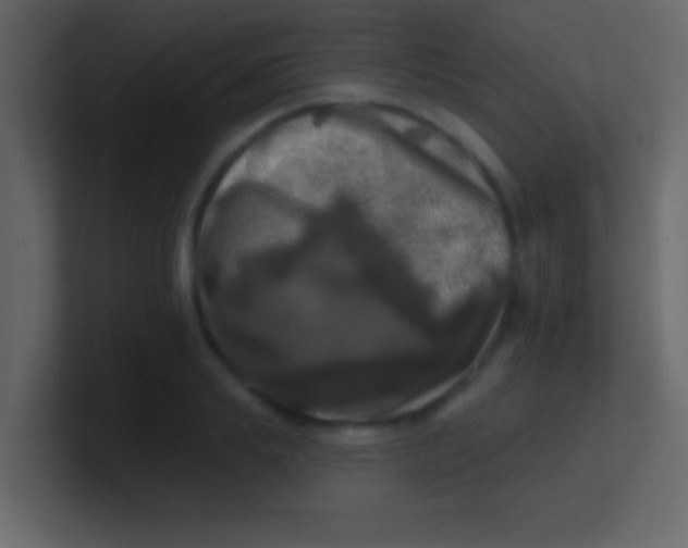 X0000100840839200807070931