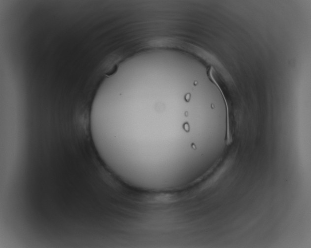 X0000100840841200807070931