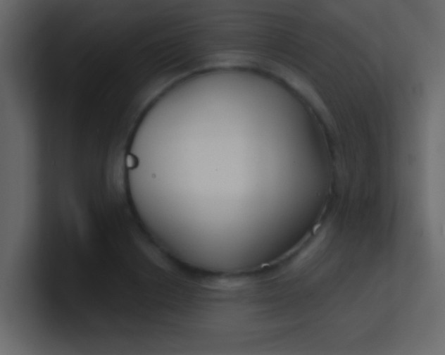 X0000100840842200807070931