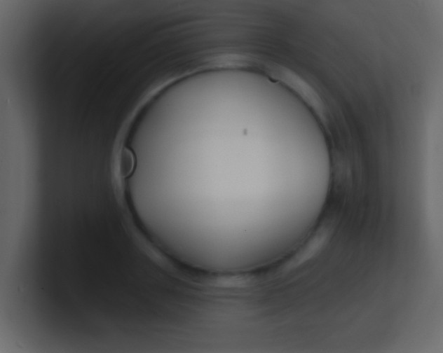 X0000100840843200807070931