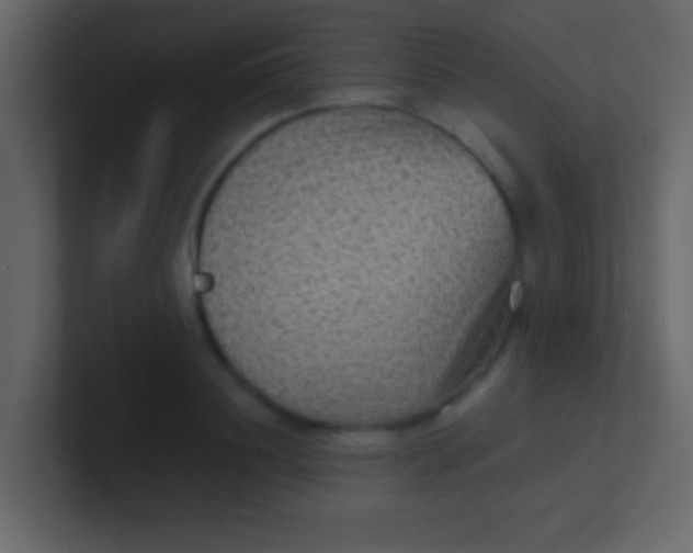 X0000100840844200807070931