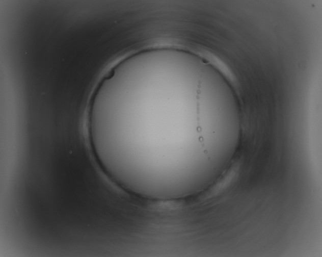 X0000100840847200807070931