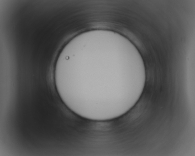 X0000100840848200807070931