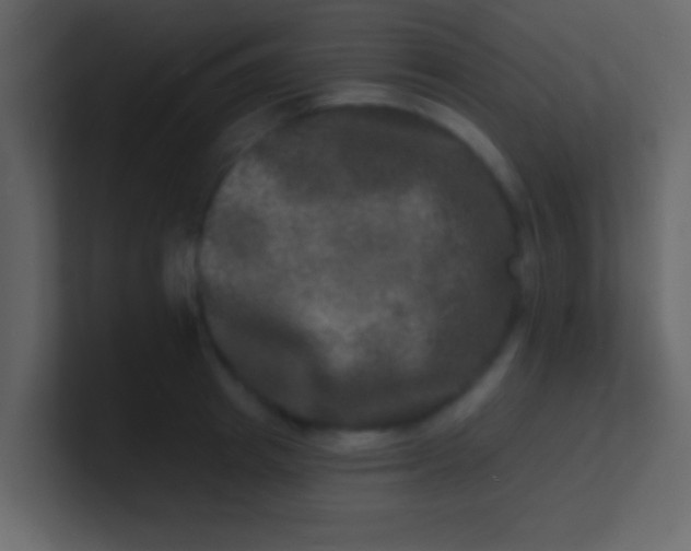 X0000100840849200807070931