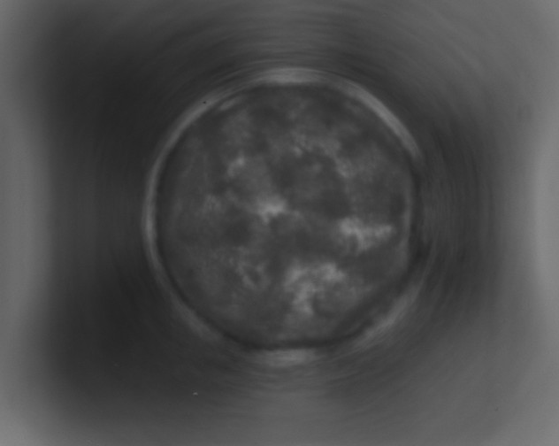 X0000100840853200807070931