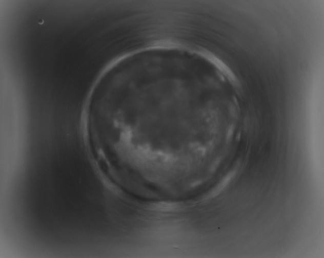 X0000100840854200807070931