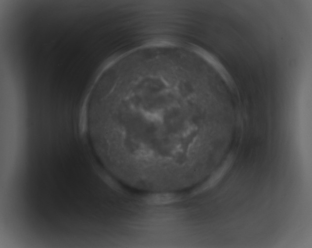 X0000100840858200807070931