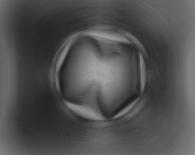 X0000100840860200807070932