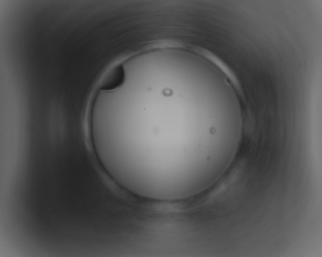 X0000100840861200807070932