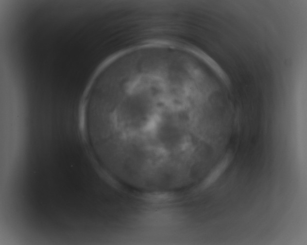 X0000100840862200807070932