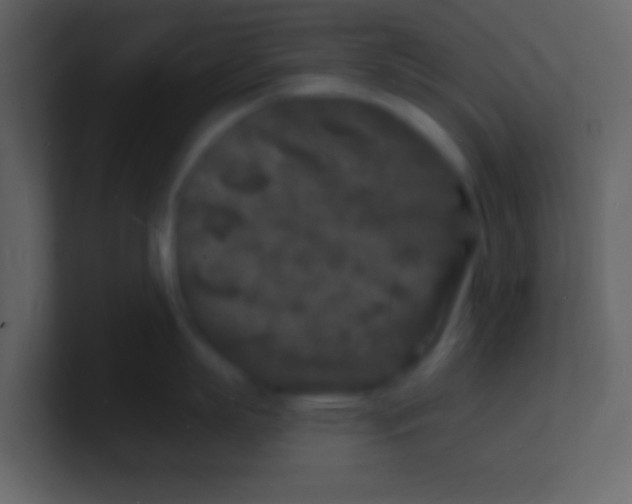 X0000100840863200807070932