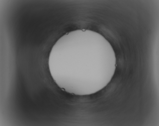 X0000100840865200807070931