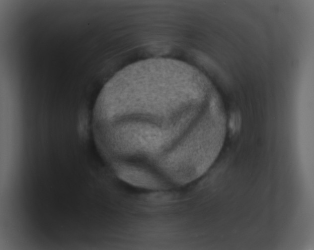 X0000100840867200807070931