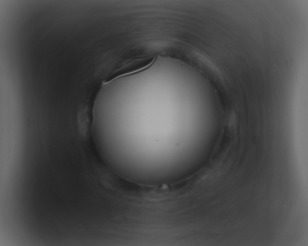 X0000100840868200807070931