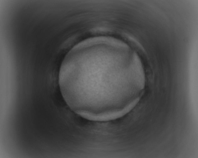 X0000100840870200807070931