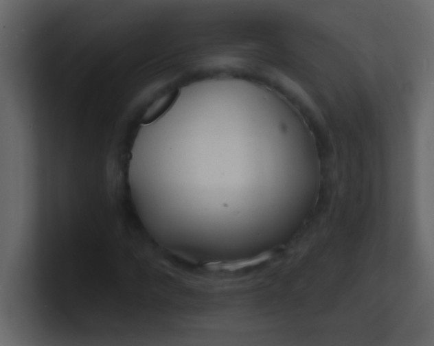 X0000100840872200807070931