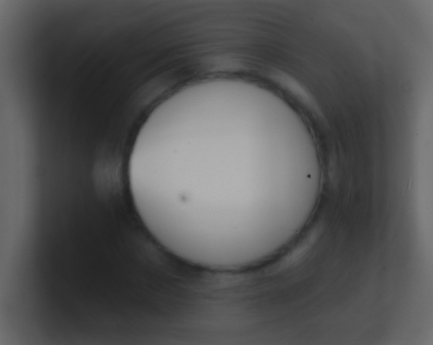 X0000100840873200807070931