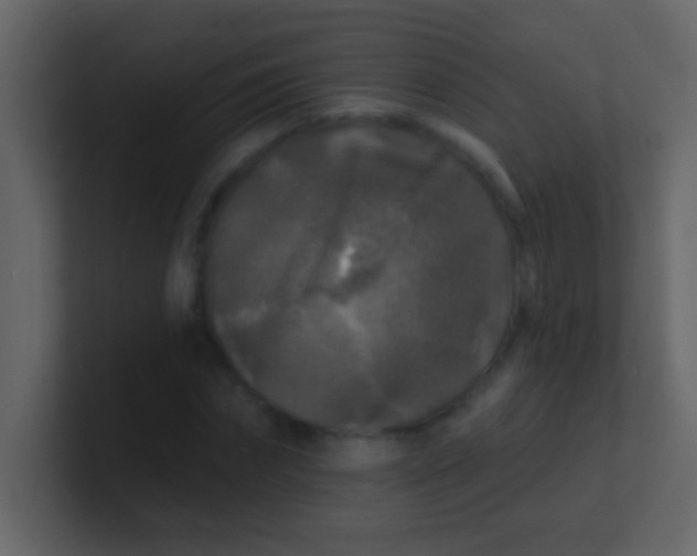 X0000100840874200807070931