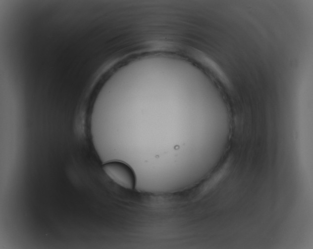 X0000100840875200807070931