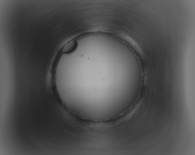 X0000100840876200807070931